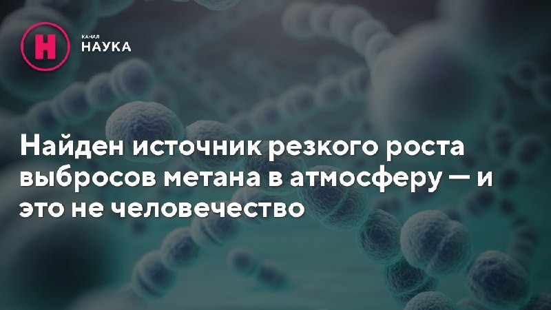 Микробы оказались ответственными за резкий рост выбросов метана в атмосферу.