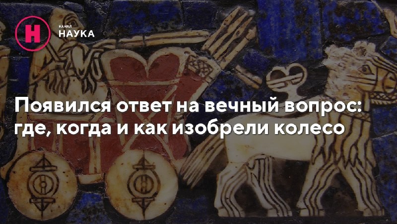 Около 6000 лет назад изобретение колеса произвело революцию в области транспорта и...