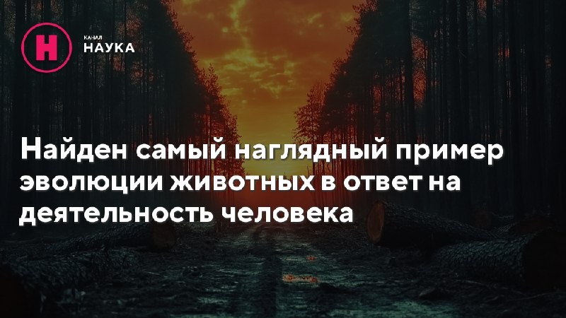 Исследователи под руководством профессора зоологии Джонатана Уотерса заметили, что изменил цвет один...