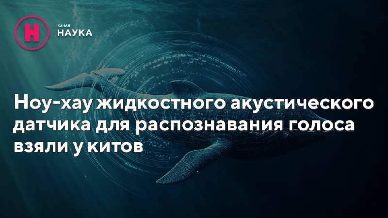 В Калифорнийском университете создан инновационный жидкостный акустический датчик, способный даже в шумной...