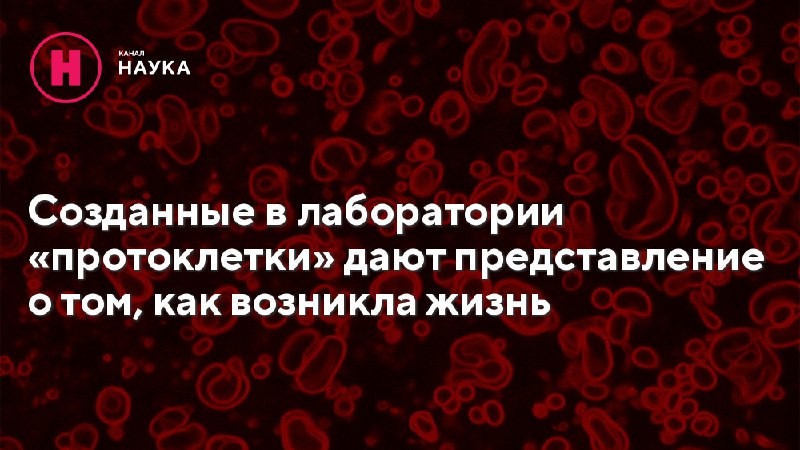 Для возникновения жизни ранним клеткам было необходимо удерживать свое содержимое внутри. Современные...