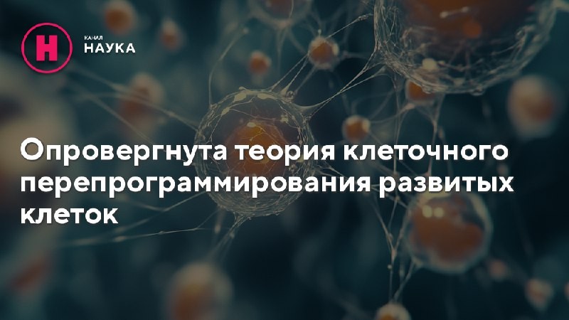 Исследователи из Университета Торонто обнаружили, что стволовые клетки нервного гребня, встречающиеся в...