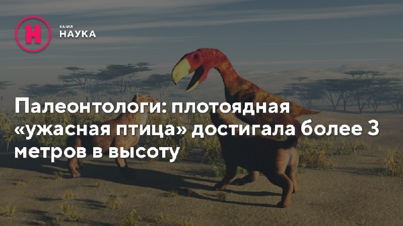 Недавно описанный плотоядный вид вымершей ужасной птицы terror birds, известный лишь по...