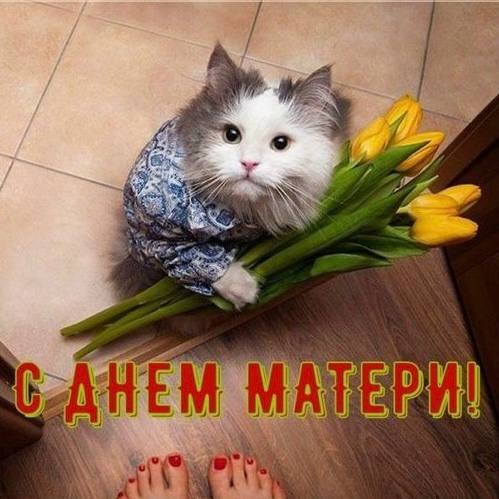 Сегодня отмечается День матери! 