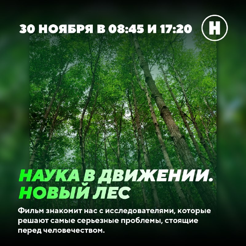 Что посмотреть на выходных? 